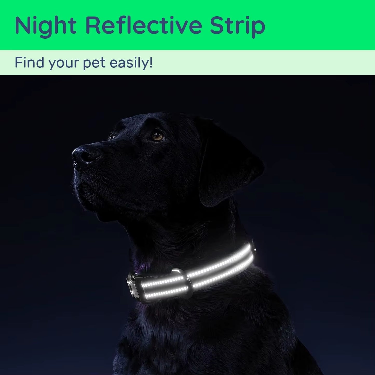 Waterproof Air Tag Dog Collar with Airtag Holder, Reflective Soft Padded & Safety Buckle, Airtag Pet Collar Adjustable for Dogs